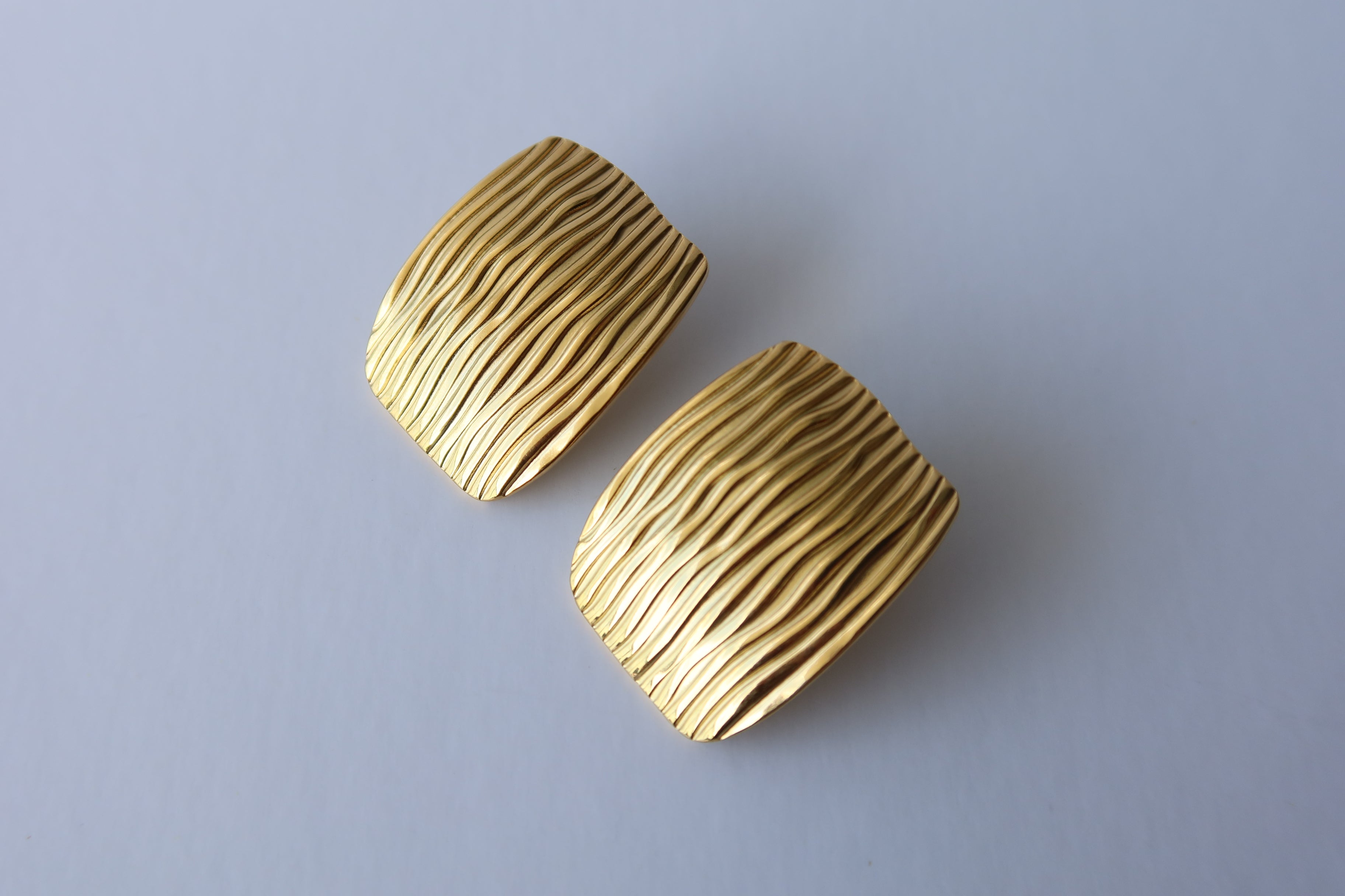 ZEBRA EARRINGS