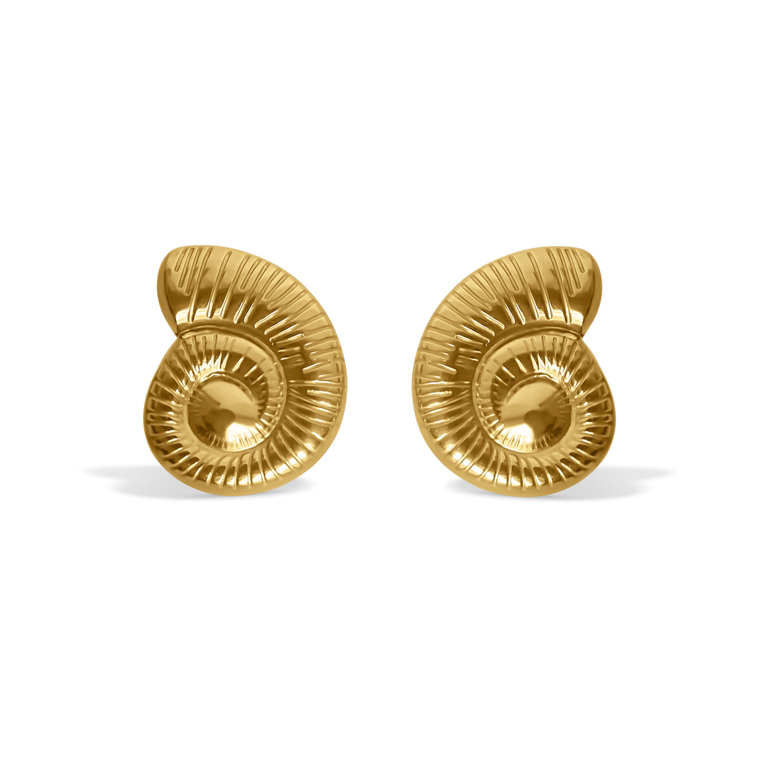 SEASHELL EARRINGS